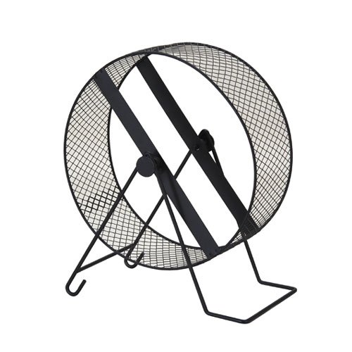 デグー 回し車 ４種類使ってみました リザデグ