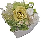 フラデコ　ポワール［陶器] クリアケース付き＆ラッピング♪[グリーン]