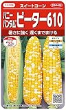 サカタのタネ 実咲野菜1204 ハニーバンタムピーター610 スイートコーン 00921204