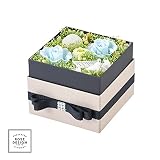 RoseDesign プリザーブドフラワー フラワーアレンジメント ギフト ベビーブルー 枯れないお花