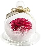 TEATSIGHT(ティートサイト) プリザーブドフラワー 枯れないお花 羽根のガラスドーム バラ1輪（ピンク） スワロフスキー社製クリスタル1粒 クリアケース入り