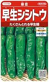 サカタのタネ 実咲野菜1600 早生シシトウ 翠臣 00921600