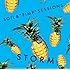 SOIL & "PIMP" SESSIONS「STORM」