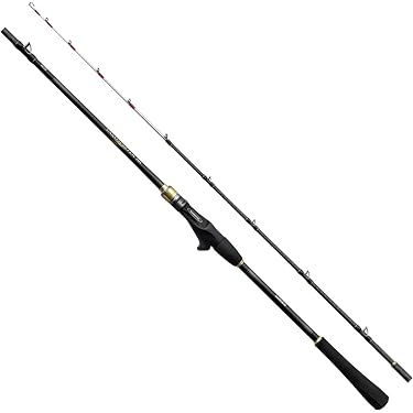 船釣り竿2本セット シマノ（SHIMANO）船島 シマノ アルファタックル潮