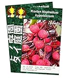 コラン Korlan Nephelium hypoleucum 10 Seeds タイ庭園 Thai Garden