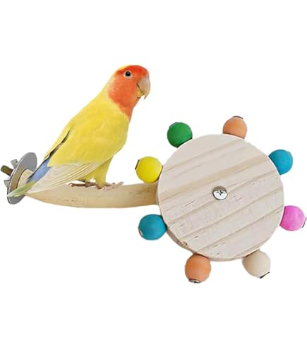 インコおもちゃ　鳥おもちゃ　木のじゃらじゃらマラカス　バードトイ 楽天市場】インコ おもちゃ バードトイ 鳥おもちゃ 原木 吊り
