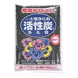 アミノール 活性炭 1L