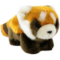 Amazon.co.jp: キュート販売 ぬいぐるみ レッサーパンダ S Z0179