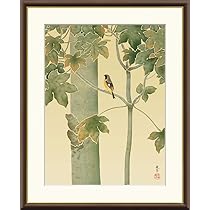 Amazon.co.jp: JHA 絵画 アート額絵 日本の名画 菱田春草「桐に