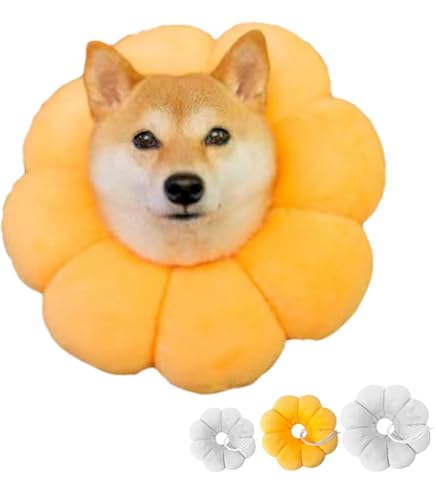 Amazon | エリザベスカラー 犬 ソフト 猫 ペット用 手術後のケア 介護