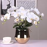 BAGEHUA の高品位 Pu を感じるファレノプシス花シミュレーションリビングルーム黄金の壺装飾された花の装飾が施され柔らかな花の装飾、 G スイート