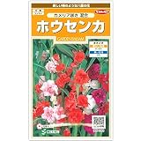 [サカタ　花タネ]ホウセンカ：カメリア咲き混合 の種5袋セット
