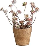 アビテ 造花 観葉植物 グリーンポット・L-ミニアエオニウム IL-121-AA