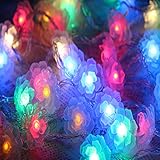 カメリアLEDストリングライトクリスマス ライト、パーティー、ウェディングデコレーションにデコレーションライト（5M 40 LEDウォームホワイト/マルチカラー） …