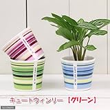 キュートウィンリーの鉢 グリーン(φ7.5×H6.7cm)(ハイドロ苗6φに対応)