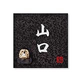 丸三タカギ 彫り込み済表札 信楽焼 信楽S-2F-2-4-山口 彫り込み名字: 山口 【完成品】