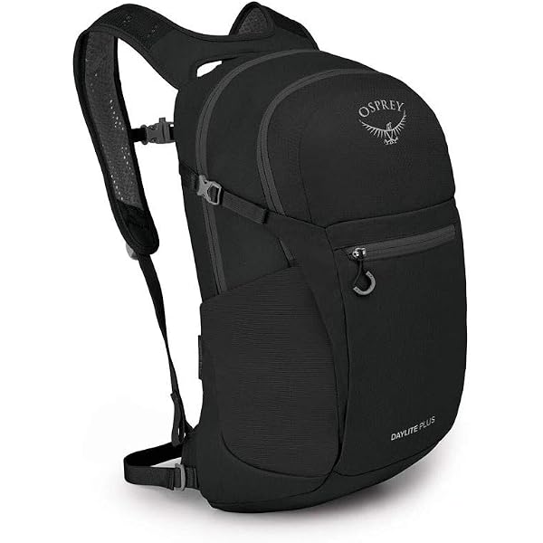 Amazon.co.jp: Osprey Axis ノートパソコン用バックパック、ブリンドル