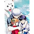 銀魂 THE FINAL(完全生産限定版) [DVD]