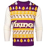 NFL Minnesota VikingsライトアップOne Too Many醜いセーター、XX -ラージ