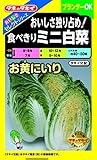 タキイ種苗 おいしさセレクト おいしさ独り占め! 食べきりミニ白菜 お黄にいり
