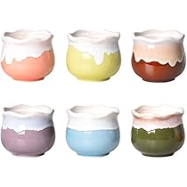 Amazon.co.jp: koundeneko 多肉植物鉢 6個セット 陶器製 2号鉢 小型