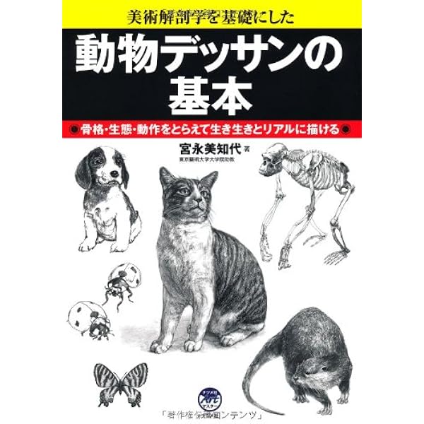 動物デッサンの基本 ナツメ社artマスター 宮永 美知代 本 通販 Amazon