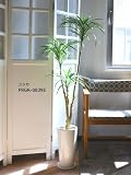 GREENPARK ユッカ 皿付スリムプランター H36 ウッドチップ 造花 フェイクグリーン