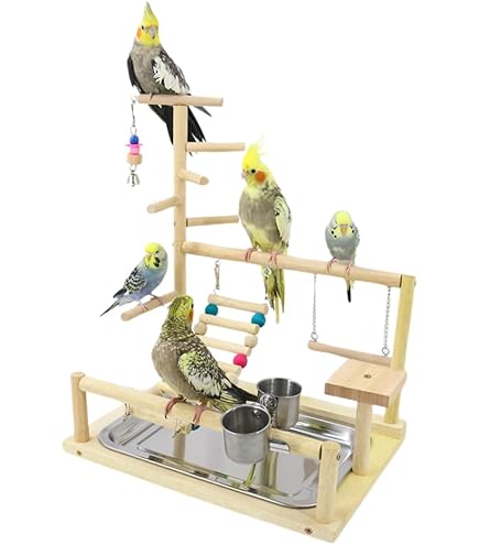 Amazon | picoLab 鳥の止まり木 インコ 鳥のアスレチック 鳥用 遊び場