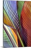 Mike Moatsプレミアムシックラップキャンバス壁アート印刷題名Banana Leaves 32" x 48" 2124409_24_32x48_none