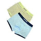 Prettyia 2枚　4-11歳　男の子　綿　下着　ボクサーブリーフ　パンツ　ショーツ　ストライプ柄　快適　全5サイズ2色 - 青+緑, 160cm