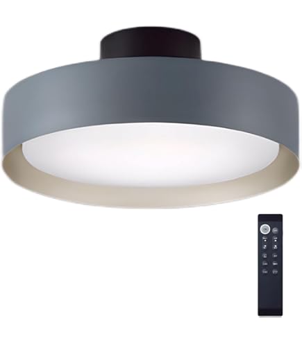 Amazon | 大光電機 DAIKO LEDシーリングライト LED内蔵 リモコン