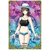 Fate/Grand Order ウエハース11 [13.R：キャスター/シャルロット・コルデー](単品)※カードのみです。お菓子は付属しません。