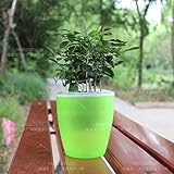 Liebeye 植木鉢 花瓶 カラフル 自己給水 自動給水 ラウンド プランターフラワーポット ホーム ガーデン デコレーション プロ フェッショナル グリーンプラント グラスグリーン M (M5)