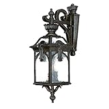 Alico Lighting 7112BG Acclaim Lighting Black Gold Finished Outdoor Sconce with Clear Seeded Glass Sh