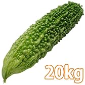 沖縄県産・ゴーヤ　20kg