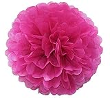 6pcs Tissue Paper pom-poms Robin 'sローズレッドボールウェディングパーティー屋外装飾用Tissue Ballsベビーシャワー誕生日パーティー紙ボール装飾( 12インチ