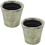 陶器植木鉢 フォレストポット 木漏れ日(こもれび) 大2個セット 6.5号 外径19cm×高さ18cm 154043L-S12-2P
