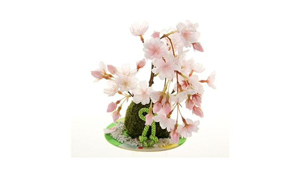 Amazon Co Jp 春 インテリア 桜の造花 ミニ苔玉 しだれ桜 花のある暮らしに ホーム キッチン