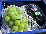 長野県産ぶどう ナガノパープル＆シャインマスカット詰め合わせ 大房各１房入り