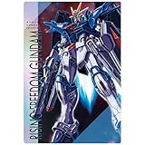 機動戦士ガンダムSEED FREEDOM ウエハース [17.ライジングフリーダムガンダム (N)](単品)※カードのみです。お菓子は付属しません。
