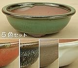 いよじ園 小石原焼/外縁浅丸鉢/5色セット/小品サイズ