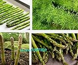 100pcs /オリジナルパックCochinchineseアスパラガスの種の盆栽の植物の種子の家庭菜園