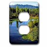 3dRose lsp_205637_6 Usa, Wyoming, Grand Teton Np. A Lush Meadow In The Grand Tetons. - 2 Plug Outlet