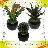 造花 フェイクグリーン 多肉植物 3個セット 黒C サボテン グリーンプラント インテリアグリーン