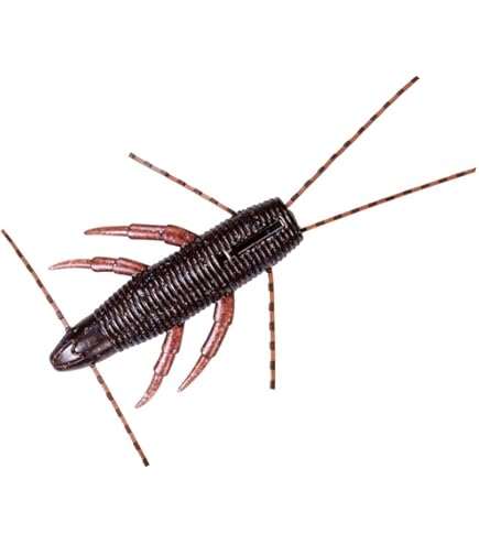 マルモページです☆①の2 Amazon.co.jp: ダイワ(DAIWA) バスワーム STEEZブラーモ2.4 ダーク