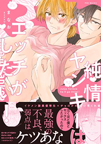 『純情ヤンキーはエッチがしたい!』