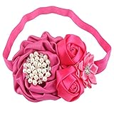 queengirlsベビーガールズヘッドバンドwith Hair Bows カラー: ピンク