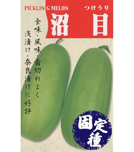 Amazon.co.jp: ミニとうがん 姫冬瓜 小冬瓜 20粒 固定種 : DIY