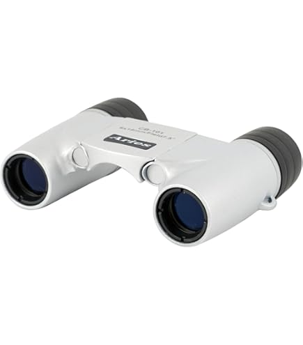 MIZAR(ミザールテック) 双眼鏡 8倍 21mm 口径 ダハプリズム式 コンパクト シルバー LD-218P Amazon | MIZAR(ミザールテック) 双眼鏡 8倍 21mm 口径