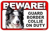 BEWARE！BORDER COLLIE ラミネートサイン：ボーダーコリー 注意 警戒中 Made in U.S.A [並行輸入品]